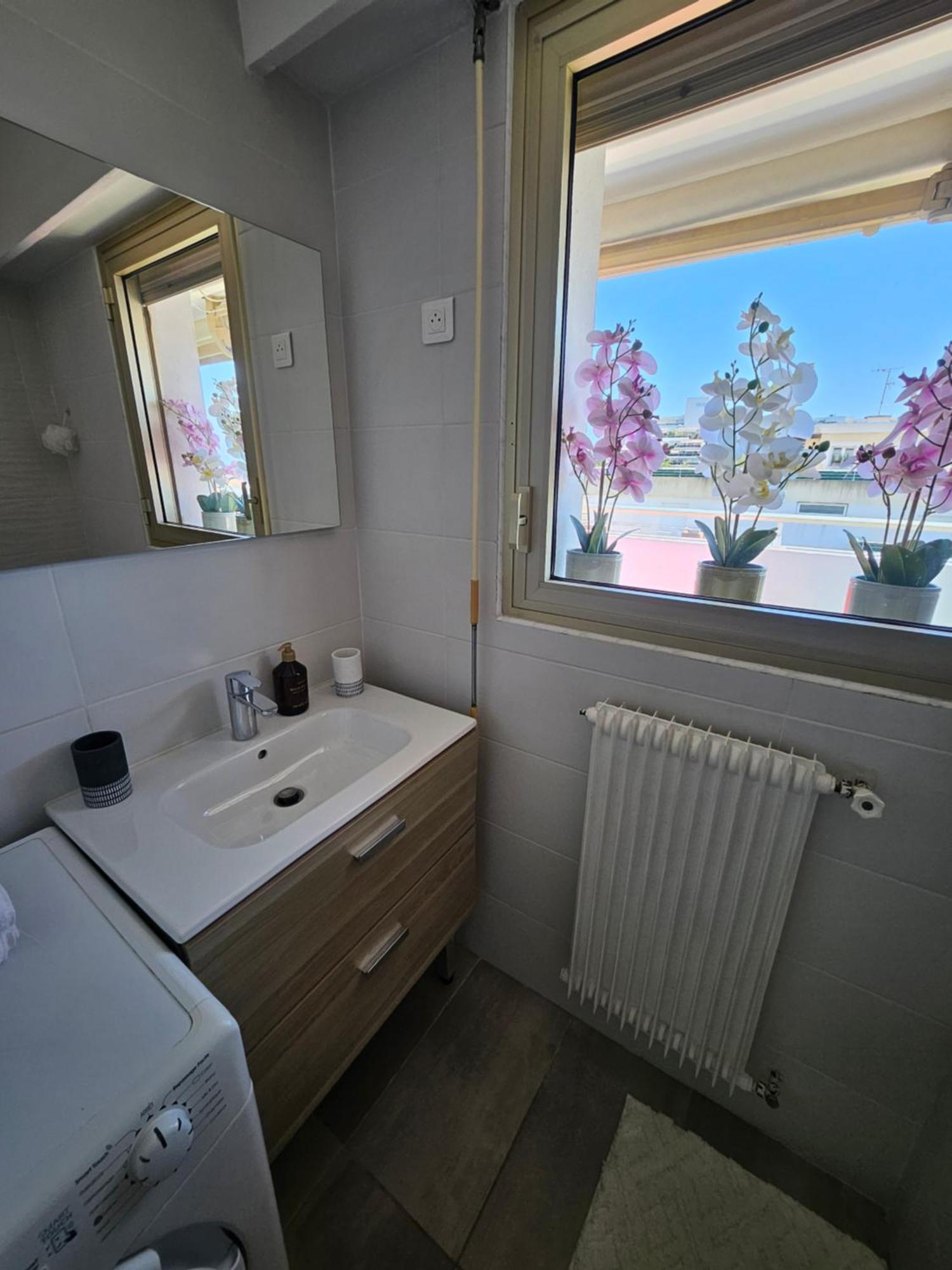 Le Duplex Apartment อองทีบส์ ภายนอก รูปภาพ